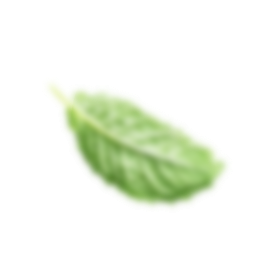 shape